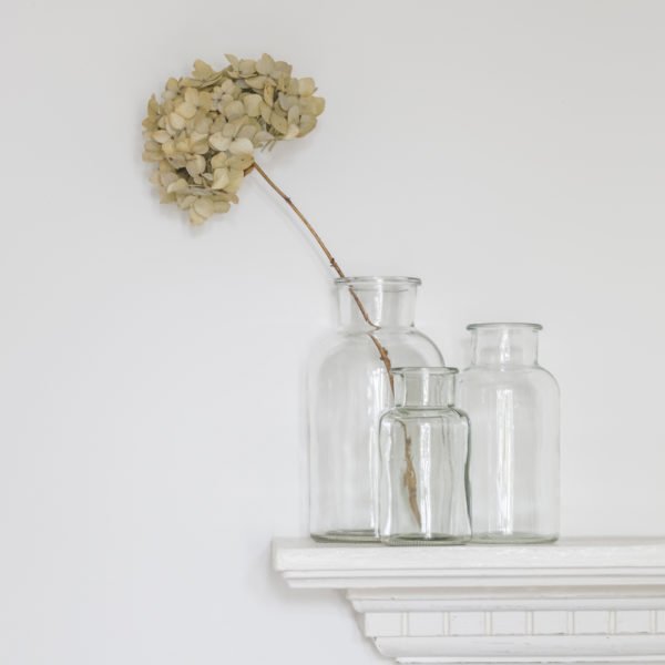 Botanical Bottle Vase (3 Sizes) - BurrowandNest