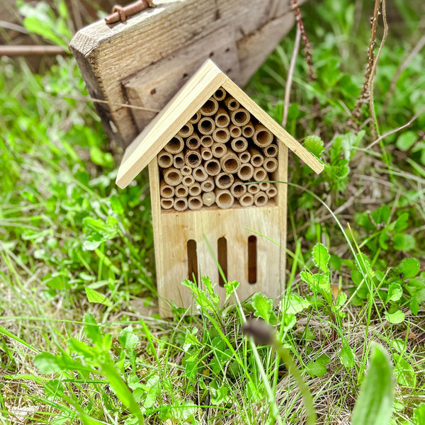 Butterfly and Bug Hotel - Garden Gift For Adults or Children