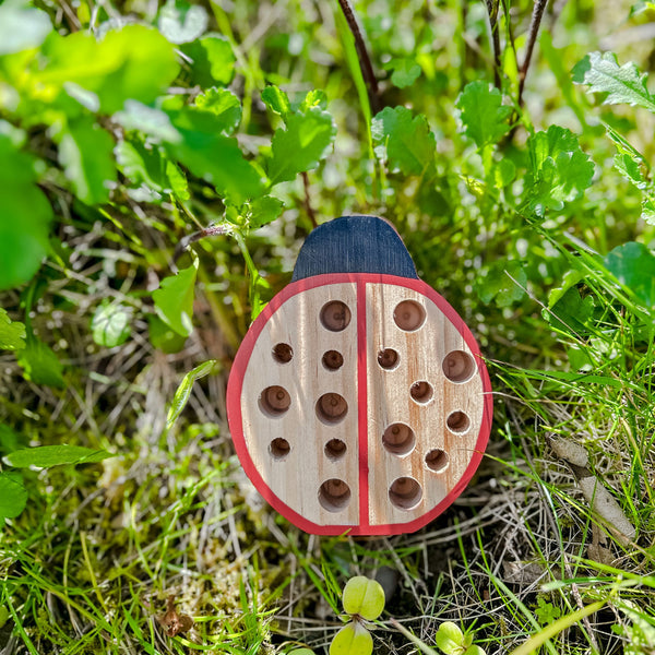 Small Ladybird / Bug Hotel - Garden Gift For Children