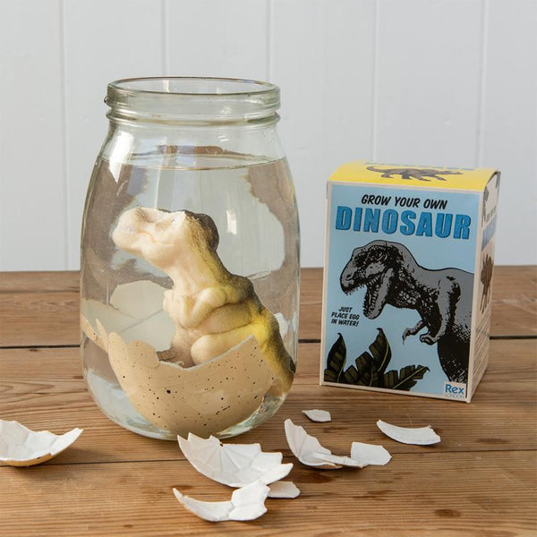Large Hatch Your Own Dinosaur Egg - Children's Gift