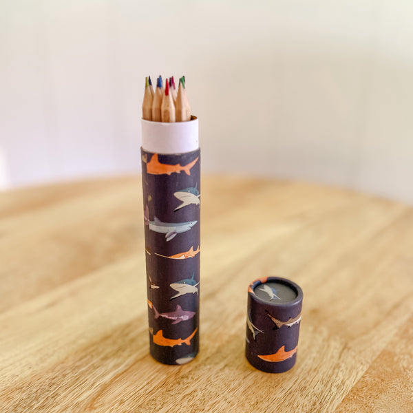 Shark Themed Tube Crayons - Kids Stocking Filler Gift