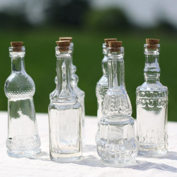 Glass Bottle Vases (with cork stoppers) Set of 6 - BurrowandNest