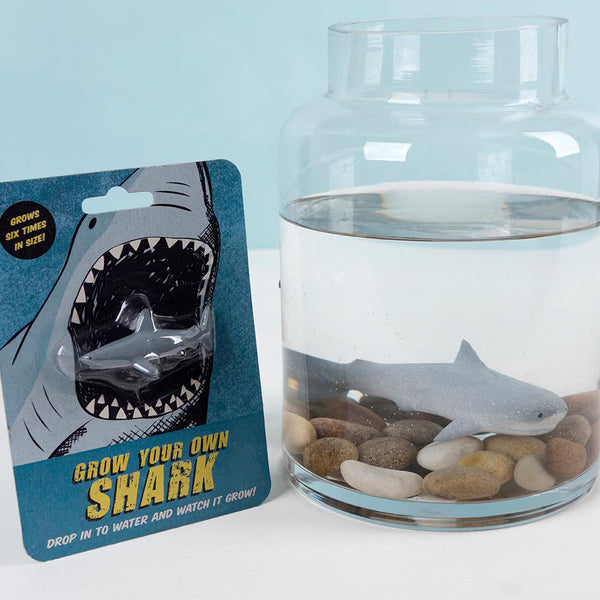 Grow Your Own Shark - Children's Gift
