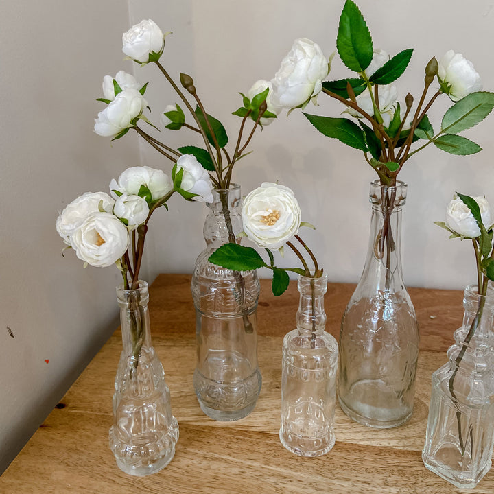 Glass Bottle Vases (with cork stoppers) Set of 6 - BurrowandNest