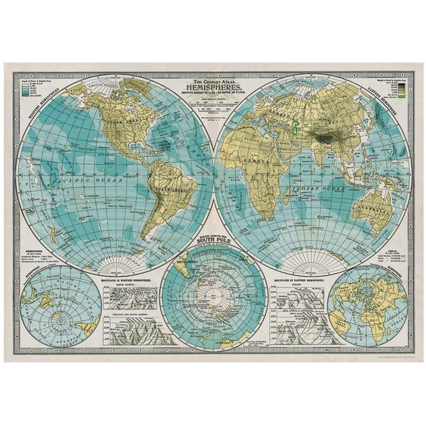 World Hemisphere Map Print - BurrowandNest